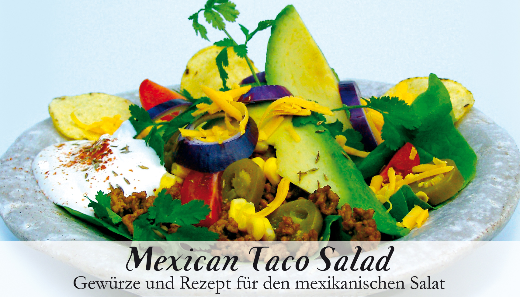 Mexican Taco Salad-Gewürzkasten
